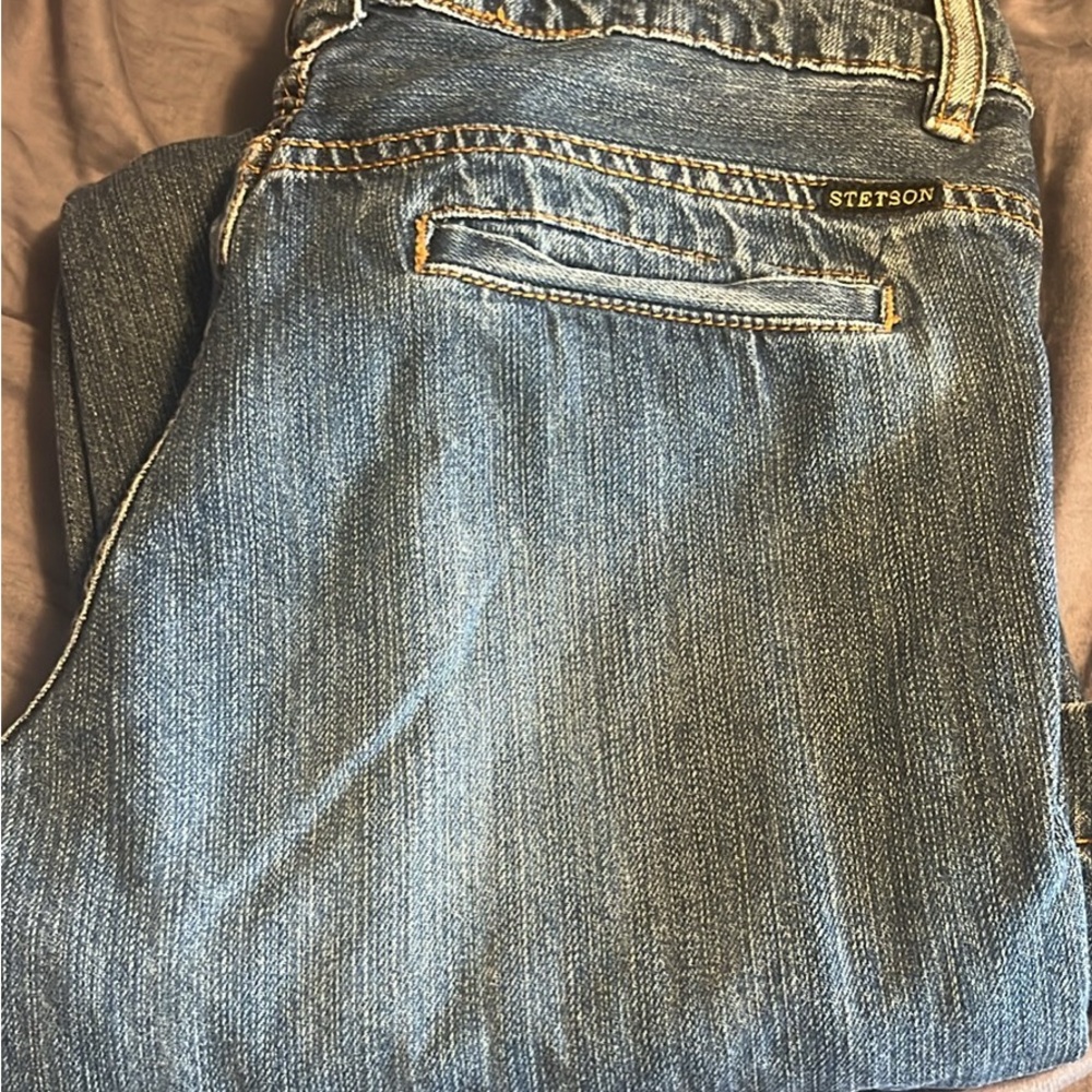 Stetson Women's Blue Flare Jeans